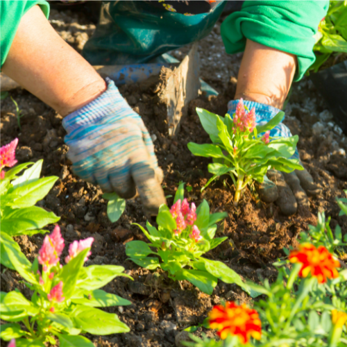 Gartenpflege